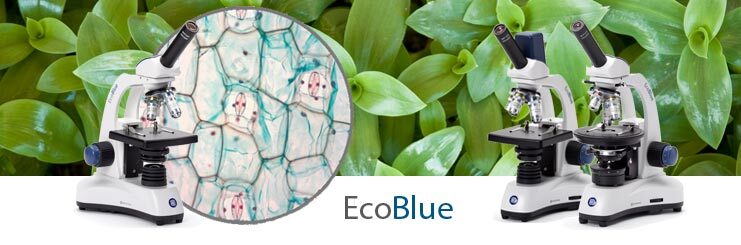 EcoBlue